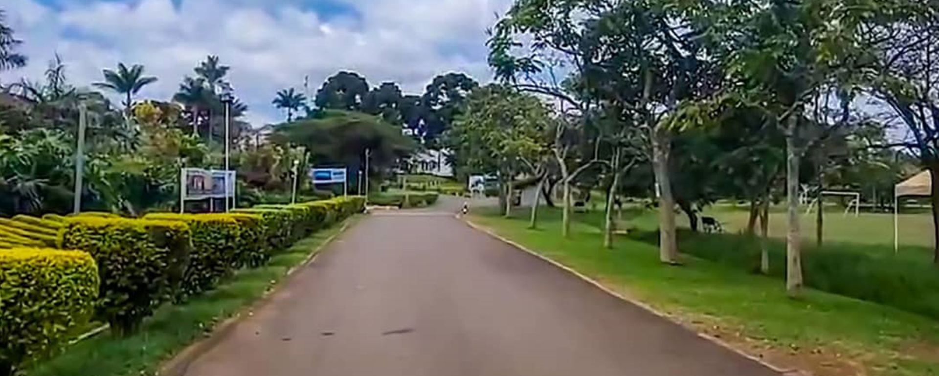 Transformative Therapy Training